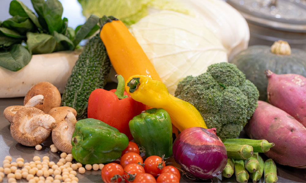 毎日食べても食べ飽きしない。豊富な味付けとバリエーション 管理栄養士の健康弁当 daily dish （デイリーディッシュ）